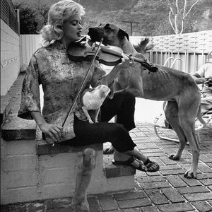 Meet your Posher, Britt